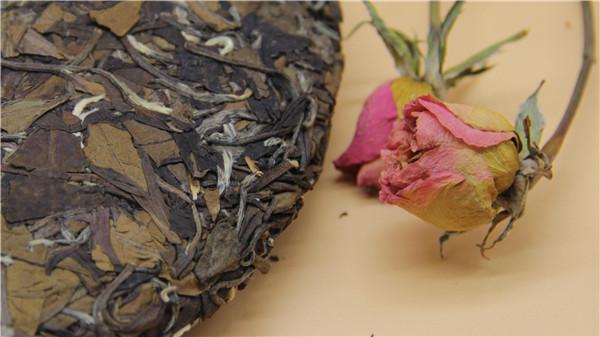 白茶是什么茶品种（白茶的茶树品种有哪些）